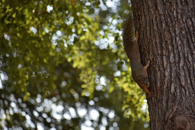 激烈竞争 激烈竞争