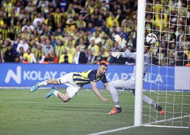 未来的道路 未来的道路