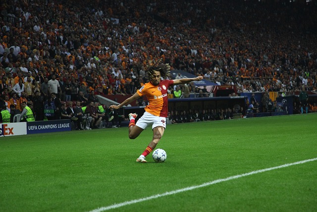 凸显了东亚 凸显了东亚