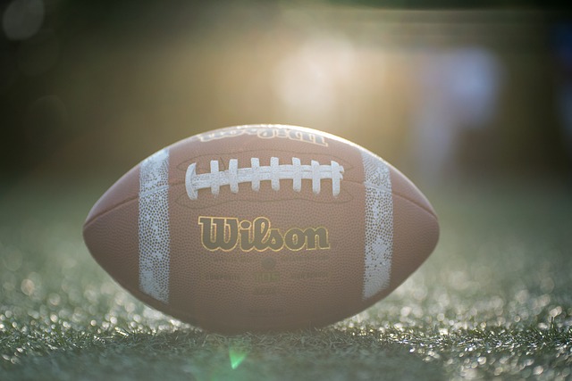 刘子琦勇夺 刘子琦勇夺