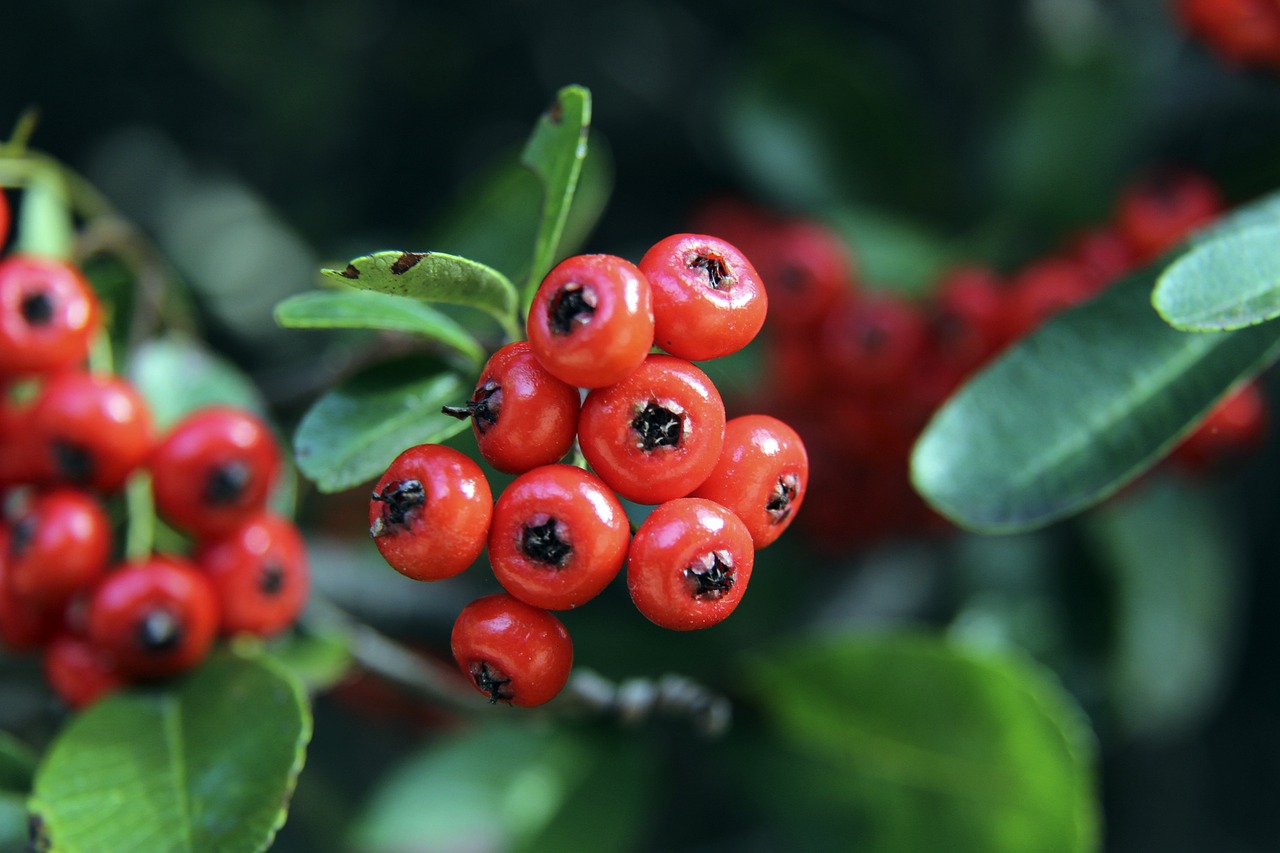 也促使我们 也促使我们