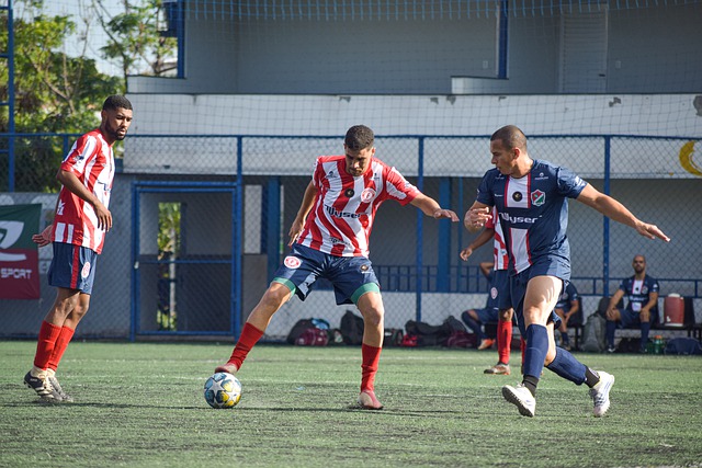 凭借严谨的 凭借严谨的