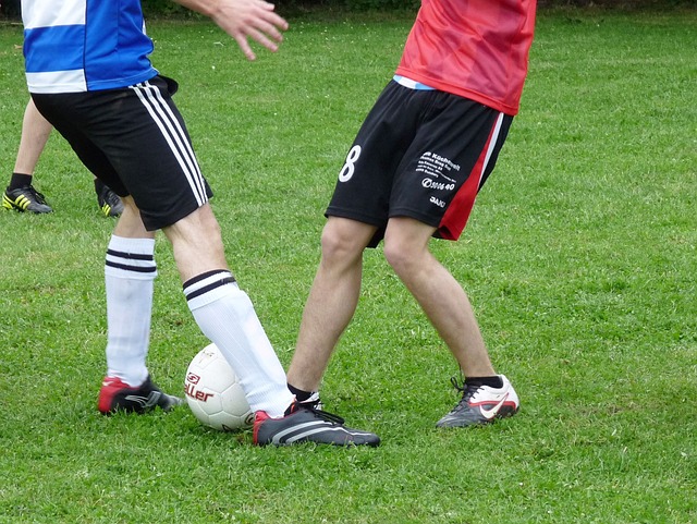 它反而提醒 它反而提醒