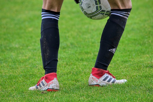 在这种情况 在这种情况