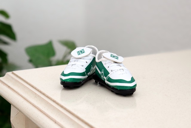 乒乓球教给 乒乓球教给